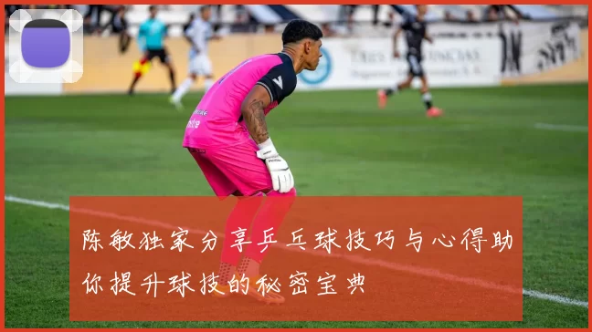 陈敏独家分享乒乓球技巧与心得助你提升球技的秘密宝典