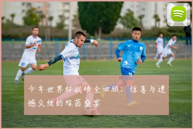 今年世界杯战绩全回顾:惊喜与遗憾交织的绿茵盛宴