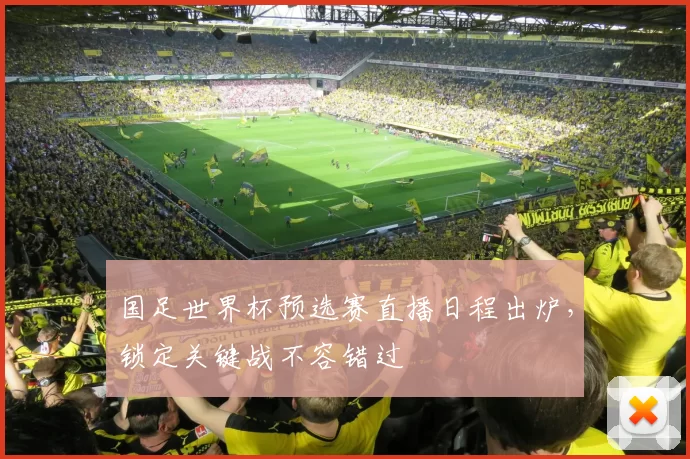 国足世界杯预选赛直播日程出炉，锁定关键战不容错过