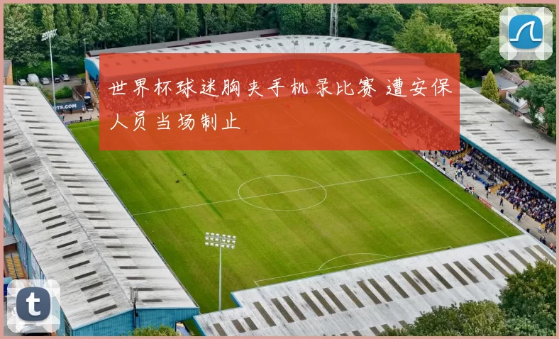 世界杯球迷胸夹手机录比赛 遭安保人员当场制止