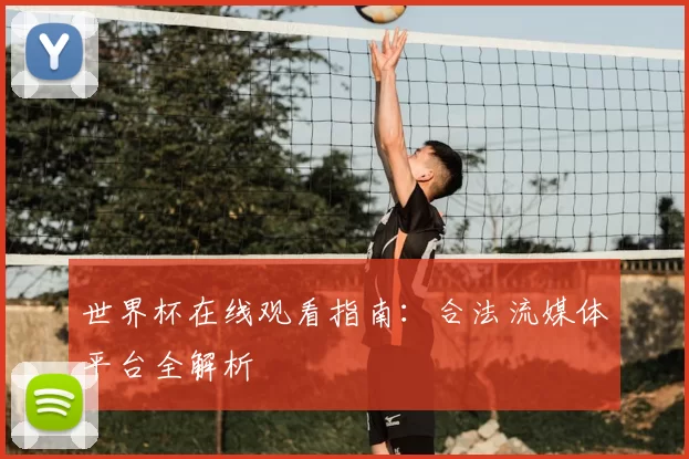 世界杯在线观看指南:合法流媒体平台全解析