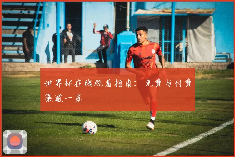 世界杯在线观看指南:免费与付费渠道一览