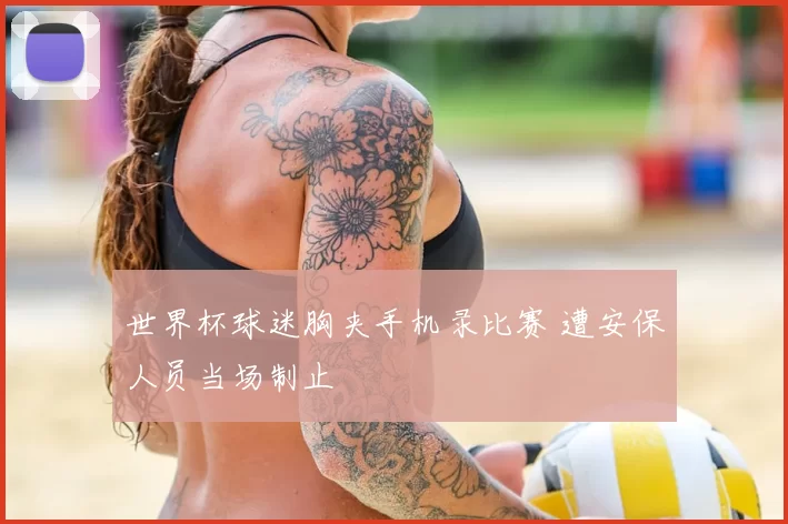 世界杯球迷胸夹手机录比赛 遭安保人员当场制止