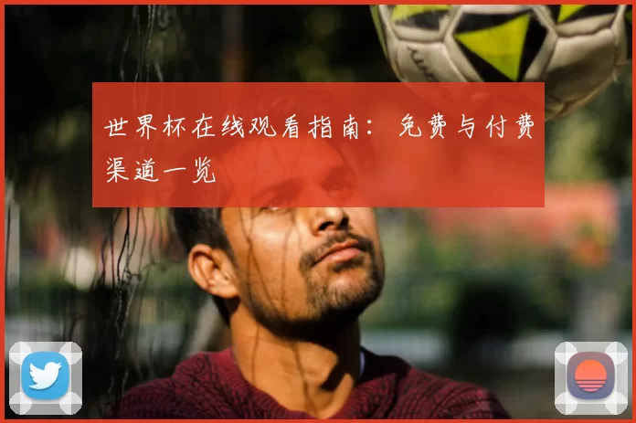世界杯在线观看指南：免费与付费渠道一览