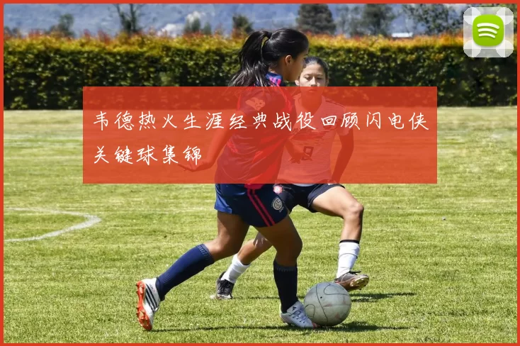 韦德热火生涯经典战役回顾闪电侠关键球集锦