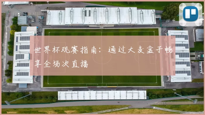 世界杯观赛指南：通过大麦盒子畅享全场次直播
