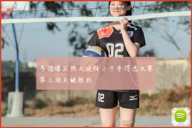 韦德爆发热火逆转小牛夺得总决赛第三场关键胜利