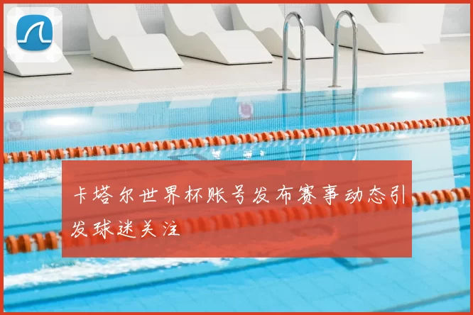 卡塔尔世界杯账号发布赛事动态引发球迷关注